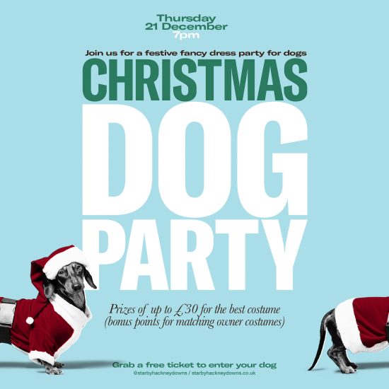 The Star by Hackney Downs Christmas Dog Party