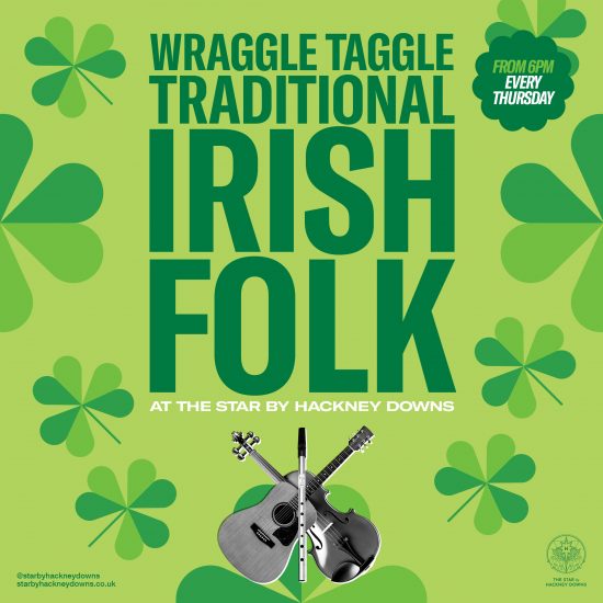 Wraggle Taggle Traditional Irish Folk Band