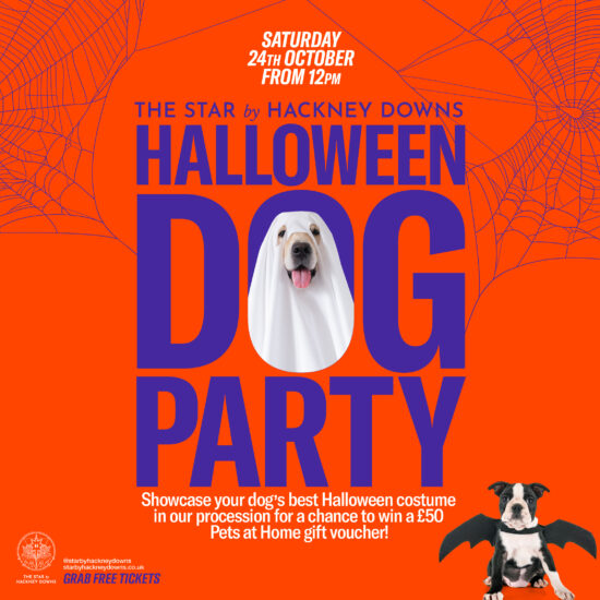 The Star by Hackney Downs Annual Halloween Dog Party! 🎃🐾